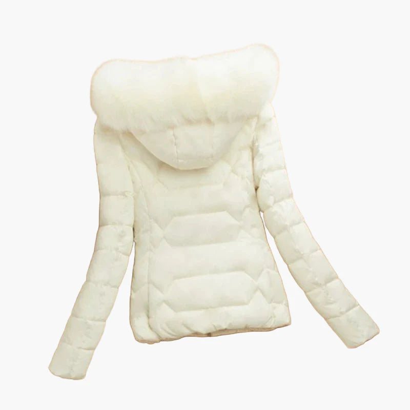 Damen Winter Steppjacke mit Kapuze und großem Kragen – Eleganter City-Style für kalte Tage