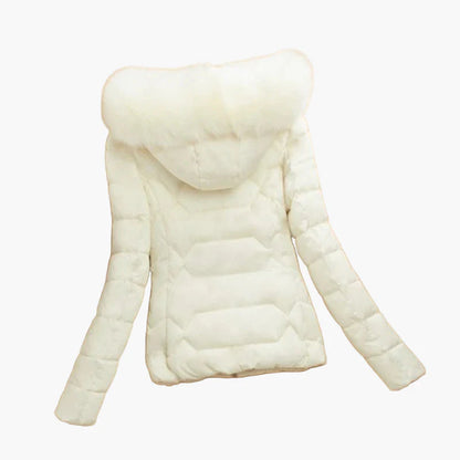 Damen Winter Steppjacke mit Kapuze und großem Kragen – Eleganter City-Style für kalte Tage