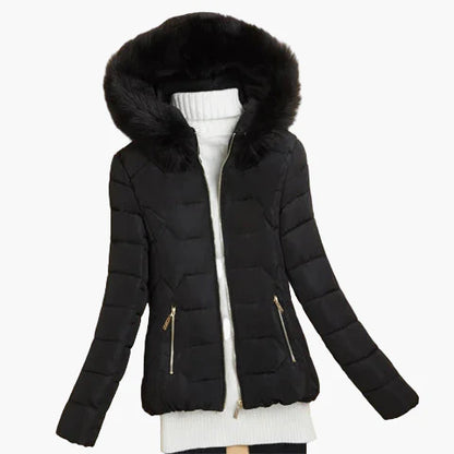 Damen Winter Steppjacke mit Kapuze und großem Kragen – Eleganter City-Style für kalte Tage